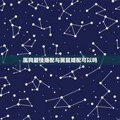 属狗最佳婚配与属鼠婚配可以吗，属狗和属鼠配吗？