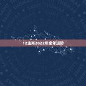 12生肖2022年全年运势，12生肖运势2022 年运势详解势详解