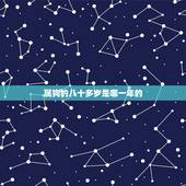 属狗的八十多岁是哪一年的，属狗生肖是哪一年