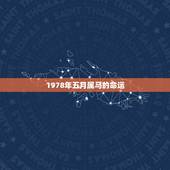 1978年五月属马的命运，1978年5月份的马是什么样的命运