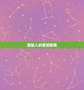 属鼠人的更佳配偶，1993年属鼠的更佳配偶