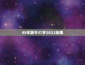 85年属牛37岁2022劫难 85年牛2022年有三喜