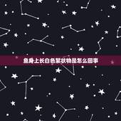 鱼身上长白色絮状物是怎么回事，鱼身上长了白色絮状的东西，得了什么病？