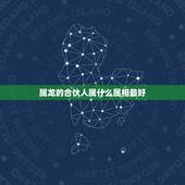 属龙的合伙人属什么属相最好，属龙人生什么属相好