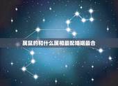 属鼠的和什么属相最配婚姻最合，1996属鼠的三大坎