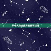炉中火命去南方发展可以吗，1987年炉中火命