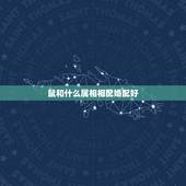 鼠和什么属相相配婚配好，属鼠的属相婚配表 男女属鼠的和什么属相最配