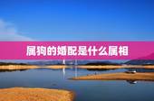 属狗的婚配是什么属相，属龙和什么属相最配