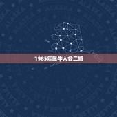1985年属牛人会二婚，1990年属马人和1985年属牛人的婚姻如何
