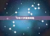 今年31岁属相婚配，2022 年31岁属什么
