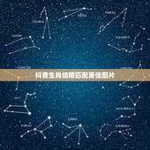 抖音生肖结婚匹配更佳图片，十二生肖哪个最幸福