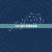 2022添丁生男孩生肖，2022年最旺的生肖