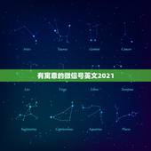 有寓意的微信号英文2021，有什么寓意好的英文微信昵称？