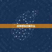 壬申时五行属什么，己巳年壬申月丁巳日午时五