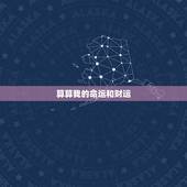 算算我的命运和财运，免费八字算财运