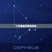 八字里最厉害的桃花，八字里哪些代表桃花