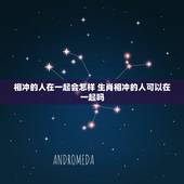 相冲的人在一起会怎样 生肖相冲的人可以在一起吗
