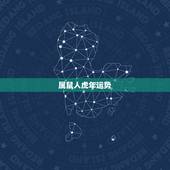 属鼠人虎年运势，属鼠人兔年运势2023