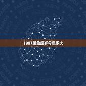 1987属兔虚岁今年多大，87年属兔34岁有一劫2022