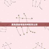 属兔跟属老鼠的婚配怎么样，属相婚配：男属兔和女属鼠相配吗