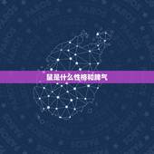 鼠是什么性格和脾气，老鼠是什么动物