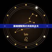 属相婚配狗丈夫和羊太太，狗羊和什么属相比较配