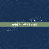 金牛座2022年下半年运势，今年金牛座运势