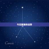 今日属猪的运势，属猪的今日幸运色