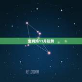 生肖鸡11月运势，生肖鸡11月份运势