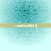 其他生肖最佳婚配属相，十二生肖婚配:属相合婚配对表