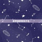 属羊和属鸡的合不合，属牛和属羊的人合不合