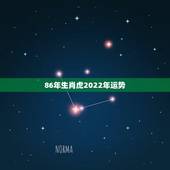 86年生肖虎2022年运势，1986年属虎有36岁注意吗