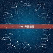 1981年男运势，我是1981年生的 男 帮我分析一下 事业 爱情 健