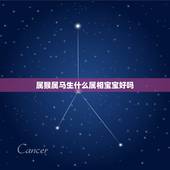 属猴属马生什么属相宝宝好吗，属马属猴可以生什么属像的宝贝