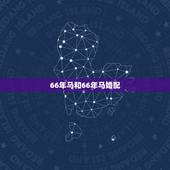 66年马和66年马婚配，一九六六年的属马人适合与什么属相婚配比较好？