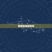 属相龙兔相克吗，龙和兔属相是否相配