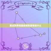 属龙的男性最佳婚配属相是什么，属龙的和什么属相最配
