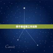 狮子座近期工作运势，狮子座面试工作运势