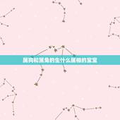 属狗和属兔的生什么属相的宝宝，我老公属狗我属兔，请问孩子属什么比较好啊