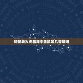 婚配表火虎和海中金鼠是几等婚姻，属鼠的和什么属相最配 属鼠的属相婚配表