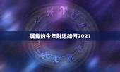 属兔的今年财运如何2021，今年属兔的财运和运气如何2021