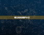 老公处处维护小三，老公和小三有私生子 我拖着不离婚呢行吗