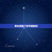 男女同属丁卯可婚配吗，丁卯兔与丙辰龙合婚么