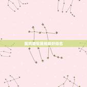 属鸡婚配属相最好排名，属鸡婚配表，鸡男跟什么属相最配