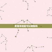 男属羊和鼠可以婚配吗，属羊男和属鼠女能不能相配