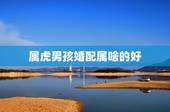 属虎男孩婚配属啥的好，属虎男婚配属什么的最好？