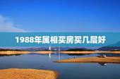 1988年属相买房买几层好，88年属龙的买房几楼？