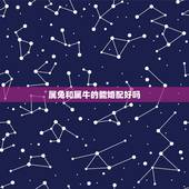 属兔和属牛的能婚配好吗，属兔和属牛的相配吗