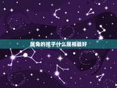 属兔的孩子什么属相最好，属兔的父母跟什么属相的子女最好