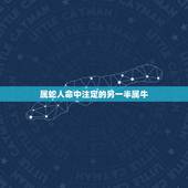 属蛇人命中注定的另一半属牛，属猪的和什么属相最配